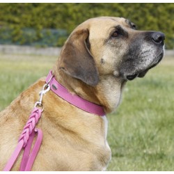 DINGO Obroża skórzana Boutique - Fuksja 2,0 x 50cm