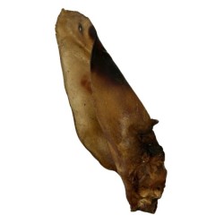 SNACK STAR Uszy wołowe ciemne z małżowiną 50-60g - 20 cm