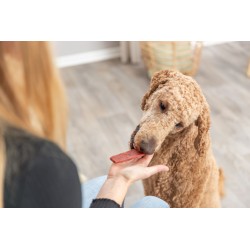 TRIXIE PREMIO Filets przysmak dla psa - wołowina 80 g