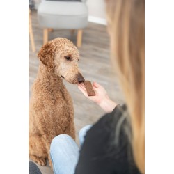 TRIXIE PREMIO Filets przysmak dla psa - jagnięcina 80 g