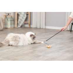 TRIXIE Wędka dla kota z rybą 46 cm