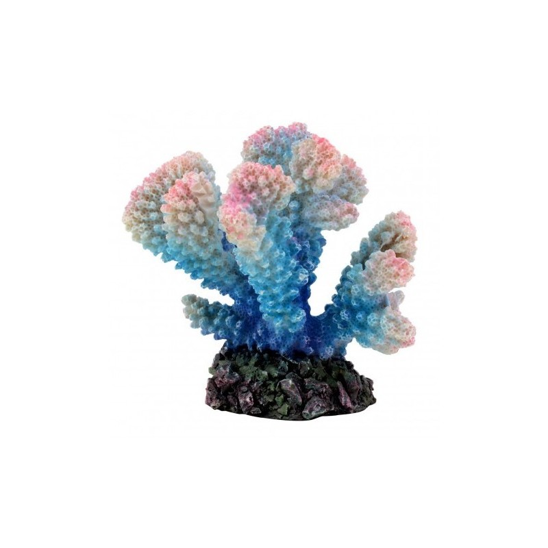 AQUA NATURA Dekoracja akwarystyczna Koralowiec - niebieski