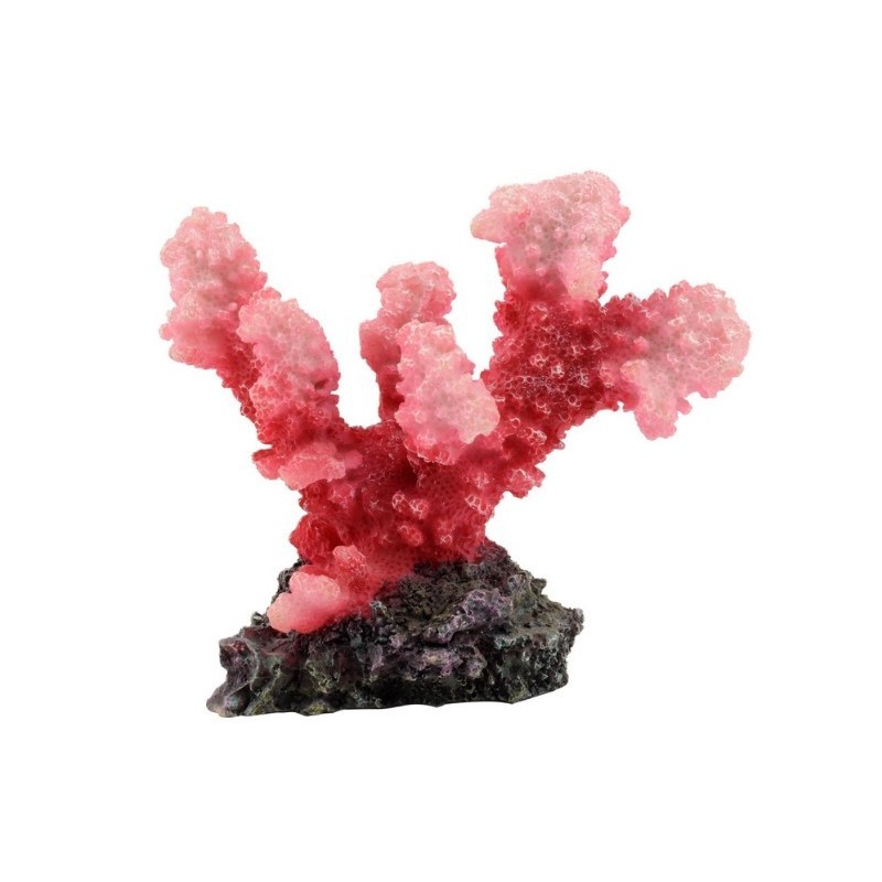 AQUA NATURA Dekoracja akwarystyczna koralowiec - różowy