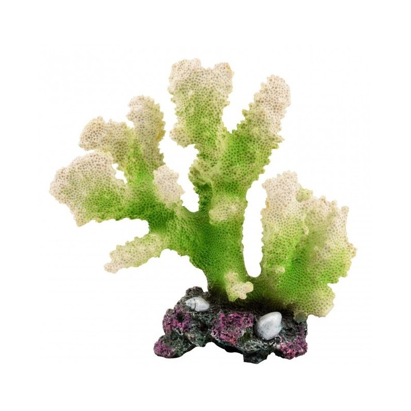 AQUA NATURA Dekoracja akwarystyczna koralowiec duży - zielony