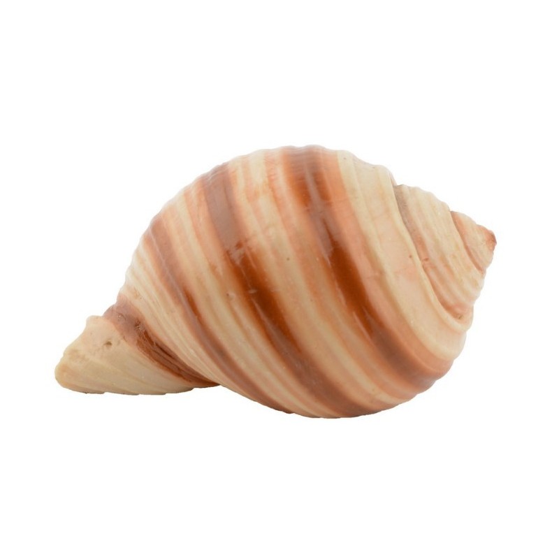 AQUA NATURA Dekoracja akwarystyczna muszka gładka 7 cm