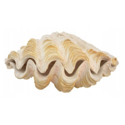 AQUA NATURA Dekoracja akwarystyczna muszla perłowa duża 18cm