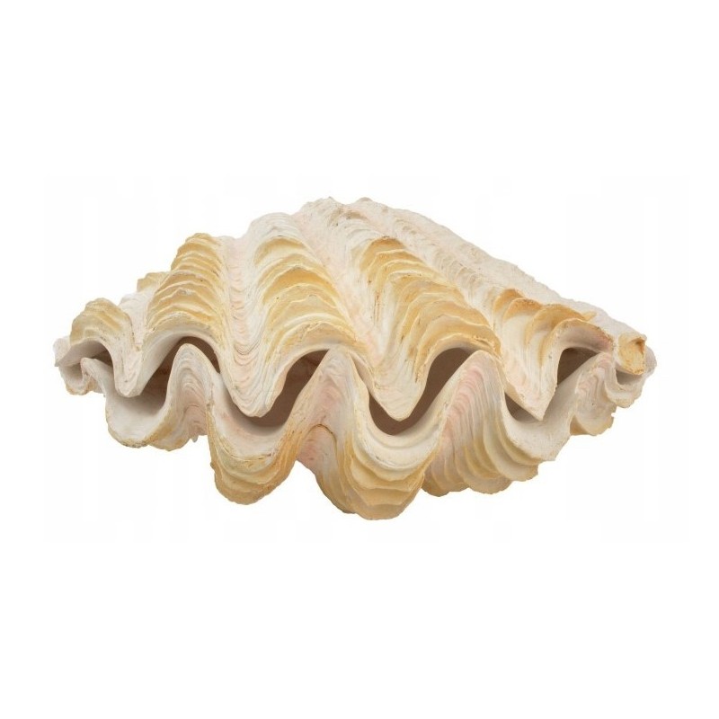 AQUA NATURA Dekoracja akwarystyczna muszla perłowa duża 18cm