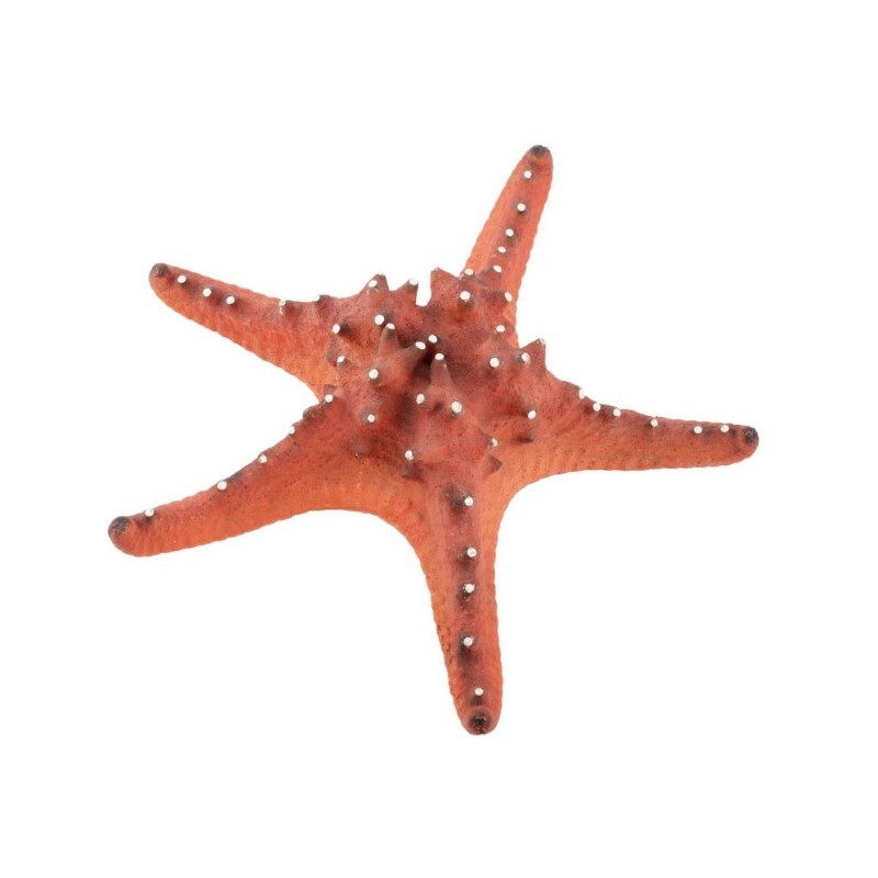 AQUA NATURA Dekoracja akwarystyczna rozgwiazda duża 22cm - czerwona