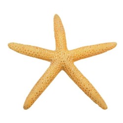 AQUA NATURA Dekoracja akwarystyczna rozgwiazda - żółta