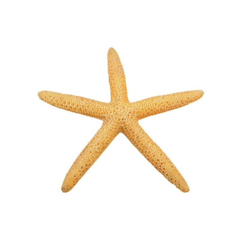 AQUA NATURA Dekoracja akwarystyczna rozgwiazda - żółta