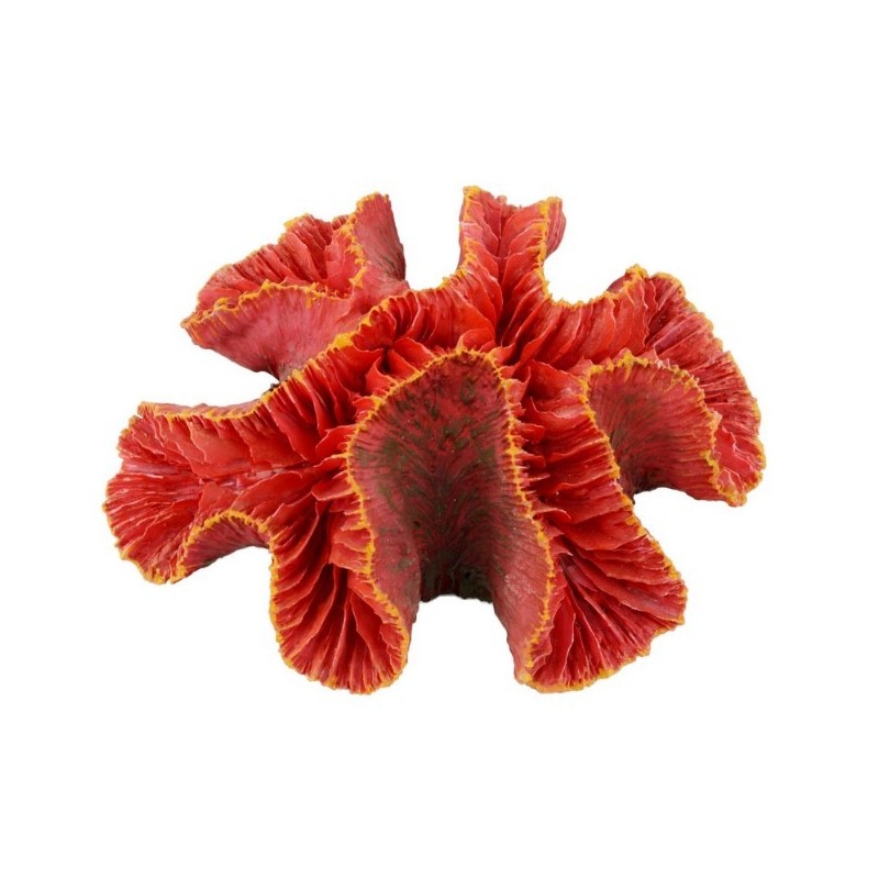 AQUA NATURA Dekoracja akwarystyczna ukwiał - czerwony