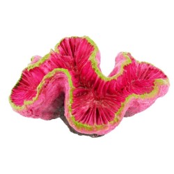 AQUA NATURA Dekoracja akwarystyczna ukwiał  - fuksjowy