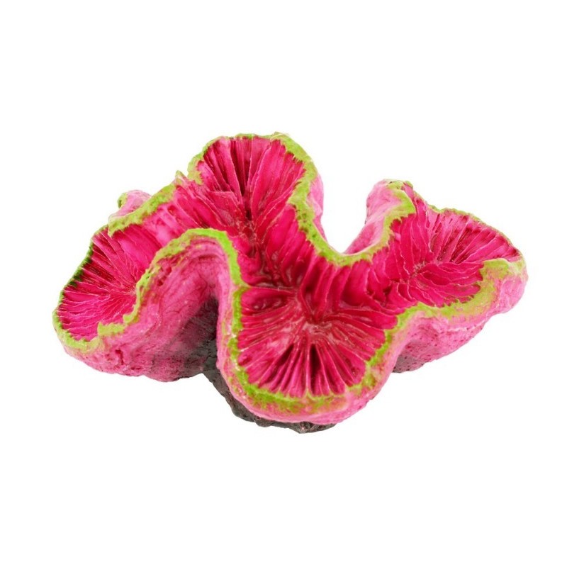 AQUA NATURA Dekoracja akwarystyczna ukwiał  - fuksjowy