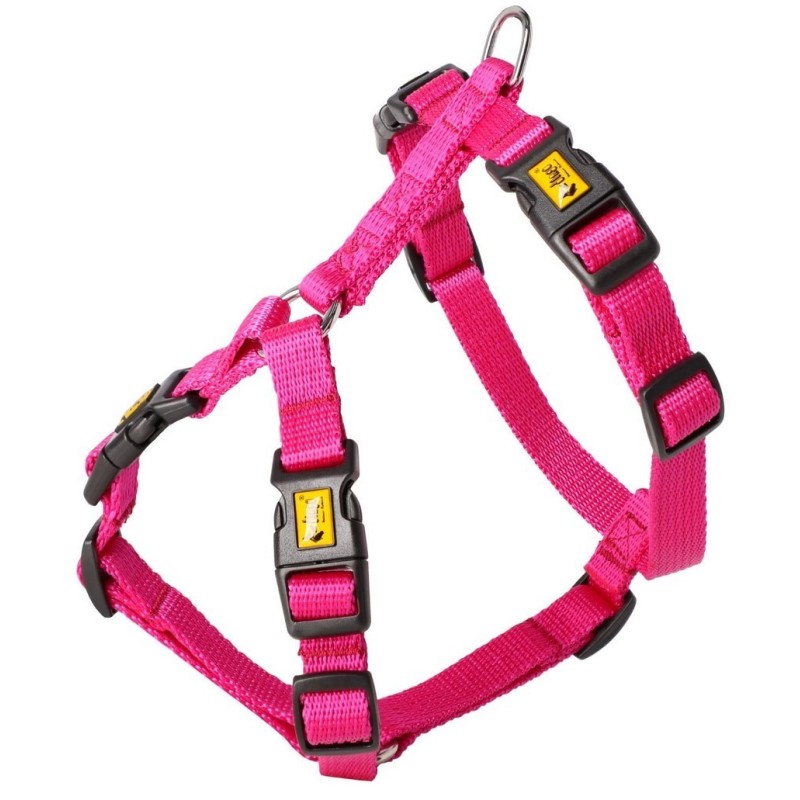 DINGO Szelki GUARD ENERGY 4 klamry - różowe S