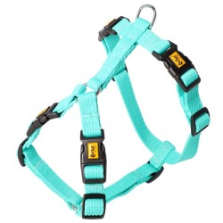 DINGO Szelki GUARD ENERGY 4 klamry - miętowy M