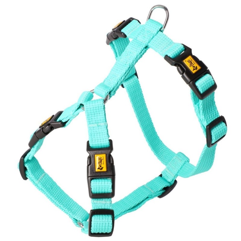 DINGO Szelki GUARD ENERGY 4 klamry - miętowy L