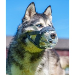 BASKERVILLE INVISA Kaganiec Rozmiar 1