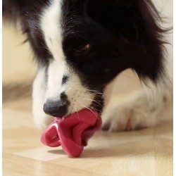 PET DREAM HOUSE Zabawka gumowa Geo-Astro Rolly - czerwona