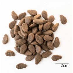 BALTICA EXCELLENT Adult Salmon Hypoallergenic - dla dużych ras 12kg