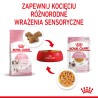 ROYAL CANIN Kitten Instinctive karma mokra w galaretce dla kociąt do 12 miesiąca życia 12x 85g