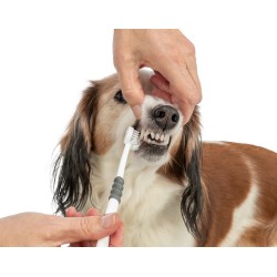 TRIXIE Trójstronna szczoteczka do zębów dla psa/kota 18 cm - biało/szara