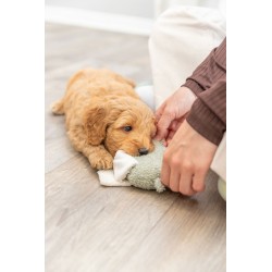 TRIXIE Junior Słoń zabawka dla szczeniąt plusz 13 cm