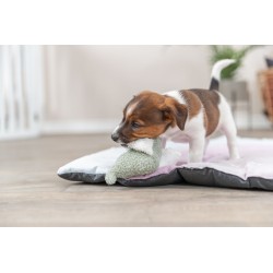 TRIXIE Junior Słoń zabawka dla szczeniąt plusz 13 cm