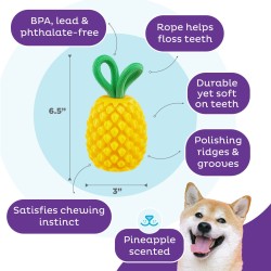 OUTWARD HOUND Pineaple - Ananas