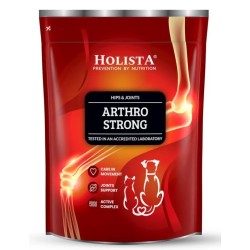 HOLISTA Arthro Strong suplement na stawy dla psa i kota (proszek) 600g