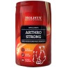 HOLISTA Arthro Strong suplement na stawy dla psa i kota (proszek) 200g