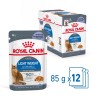 ROYAL CANIN Light Weight Care karma mokra w galaretce dla kotów dorosłych, z tendencją do nadwagi 12x 85g