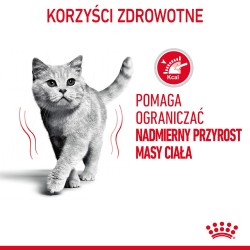 ROYAL CANIN Light Weight Care karma mokra w galaretce dla kotów dorosłych, z tendencją do nadwagi 24x 85g