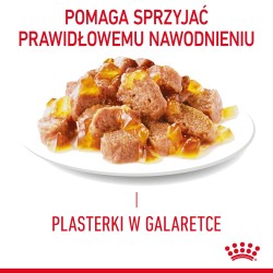 ROYAL CANIN Light Weight Care karma mokra w galaretce dla kotów dorosłych, z tendencją do nadwagi 24x 85g