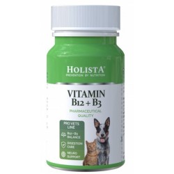 HOLISTA Vitamin B12 plus B3 90 Tabl. PROMO Krótki termin