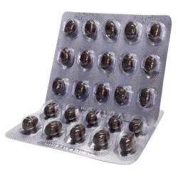 NUTRAVET Nutramind dla psów i kotów 45 kaps.