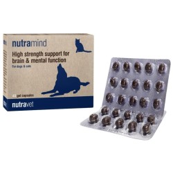 NUTRAVET Nutramind dla psów i kotów 45 kaps.