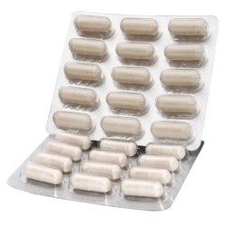 NUTRAVET Nutraquin plus dla psów i kotów 30 kaps.