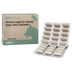 NUTRAVET Nutraplaque dla psów i kotów 60 kaps.