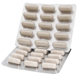 NUTRAVET Nutraplaque dla psów i kotów 60 kaps.