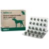 NUTRAVET Nutracoat dla psów i kotów 45 kaps.
