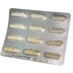 NUTRAVET Nutraflora dla psów i kotów 12 kaps.