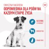 ROYAL CANIN Training Treats przysmak dla psów ułatwiający proces szkolenia 110g