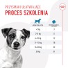 ROYAL CANIN Training Treats przysmak dla psów ułatwiający proces szkolenia 110g