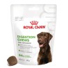 ROYAL CANIN Supplements Digestion Adult Dog 160g
