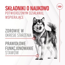 ROYAL CANIN Supplements Joint and Ageing Adult Dog 240g