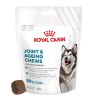 ROYAL CANIN Supplements Joint and Ageing Adult Dog 240g