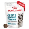 ROYAL CANIN Supplements Joint and Ageing Adult Dog 240g