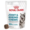 ROYAL CANIN Supplements Joint and Ageing Adult Dog 240g