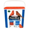 VERSELE-LAGA NutriBird Gold Patee Red Factor Birds - pokarm jajeczny dla czerwonych ptaków 1 kg