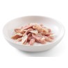 SCHESIR CAT Tuna fillet with seabrass in jelly 85g (saszetka)